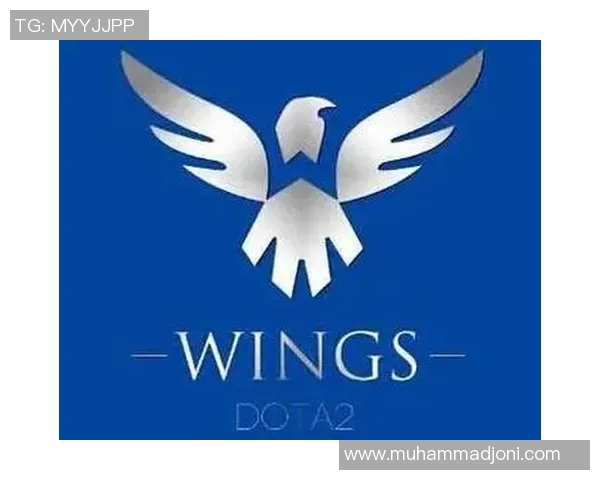 wings比赛ban-Wings比赛的Ban策略及其重要性-wings比赛ban