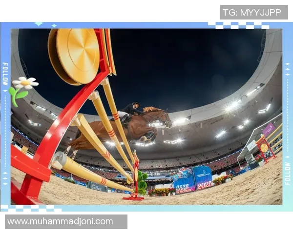 特级比赛-特级比赛，激情与荣耀的舞台-特级比赛